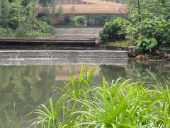 -云溪植物园