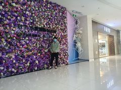 -肃宁华斯国际裘皮城