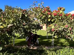 -意大利农场度假村