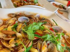 爆炒花甲-德兴海鲜渔港(辉煌大厦店)