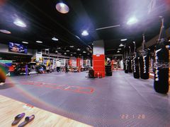 -TFC 纯泰拳馆MuayThai