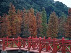 -广州市石门国家森林公园
