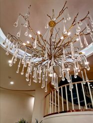 -新蝶变皮肤管理中心