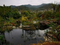 -腾冲洞山温泉村
