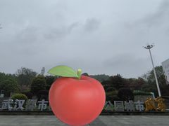-潜山国家森林公园