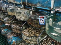-仙螺岛海鲜自助餐厅(总店)