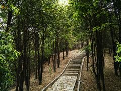 -火炉山森林公园