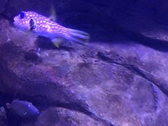 -多彩贵州城极地海洋世界