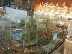 -小天鹅戴斯酒店鲸鲨百汇创作料理