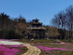 -棒棰岛宾馆景区