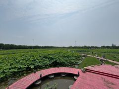 -嘉北郊野公园