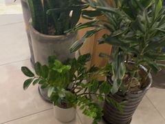 -蜀腾川·火锅鱼.烤鱼(新世界城店)