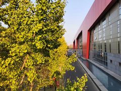 -中国浦东干部学院