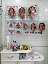 -五洲妇儿医院