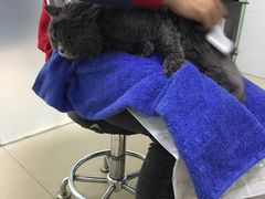 -圣宠动物医院·犬猫专科·影像中心·外科中心