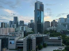 -深圳湾科技园丽雅查尔顿酒店
