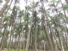 -硗碛藏寨·神木垒景区