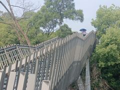 -福道