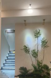 -FUMEIHUI·科技美肤·美体SPA