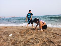 -玫瑰海岸文化旅游度假区