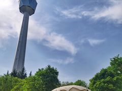 -陕西自然博物馆