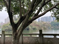 -重庆彩云湖湿地公园