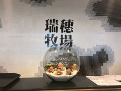 -瑞穗牧场