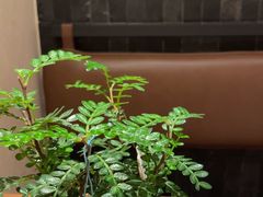 -CURRY YA 熟成咖哩專門店(深圳湾万象城店)
