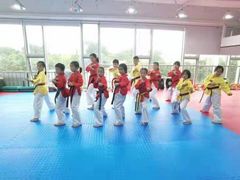 -陈中跆拳道(中关村馆)