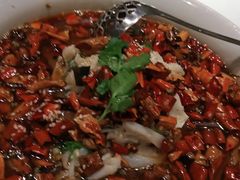 毛血旺-丰收日(五角场店)