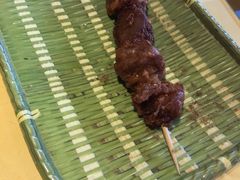 -素虎小呆鸟(西二旗店)