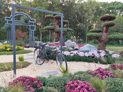 -上海共青森林公园