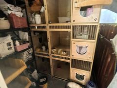 -楼上猫咖(罗湖店)