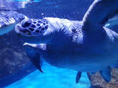 -水上乐园·欢乐世界