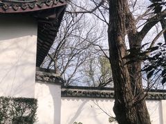 -上海佘山国家森林公园天马山园