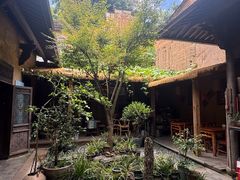 -杨家堂村
