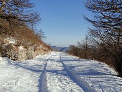 -秦岭风景区