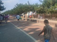 -日照海滨国家森林公园