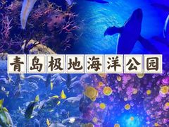 -海合安青岛极地海洋公园