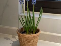 -卯时·龙光雅宴·精致锡帮菜(惠山古镇店)