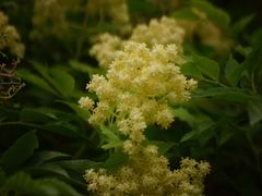 -国家植物园