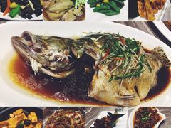 -梧桐餐厅(泉城路店)