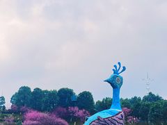 -秀丽东方