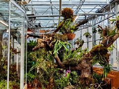 -国家植物园南园