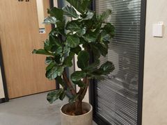 -半岛宠物医院24小时(西派城店)