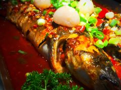 -鱼酷活鱼烤鱼(昆明路店)