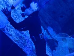 -江和美海洋公园