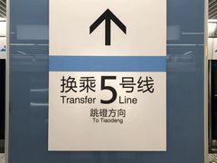 -大龙山(地铁站)