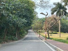 -南宁良凤江国家森林公园