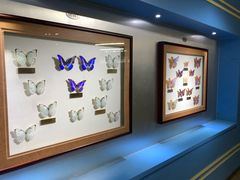 -上海昆虫博物馆